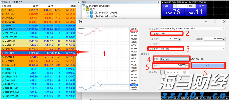 通讯丨花椰菜种子见证中巴农业合作
