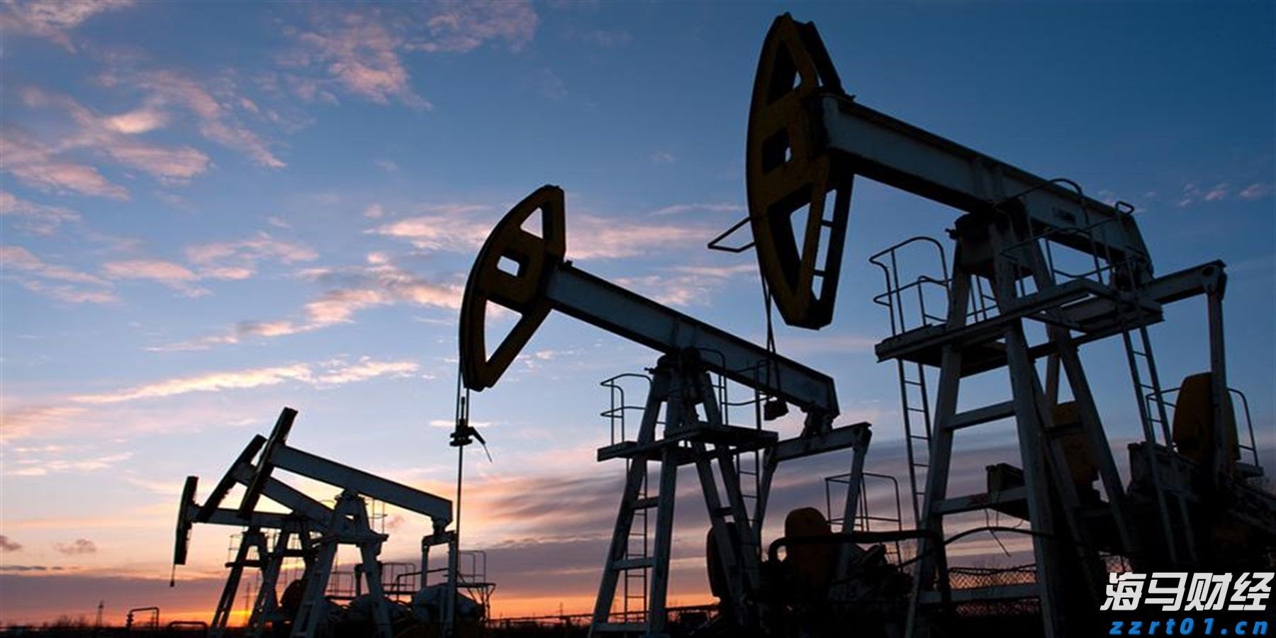 广西工业互联网“百场路演”林业发展专题活动在我市举行